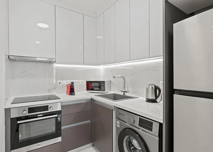 Maestro لارنكا